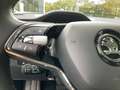 Skoda Enyaq 80 Loft Pano Navi Kamera Memory LED ACC Apple CarP Blau - thumbnail 21