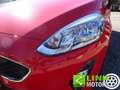 Ford Fiesta 1.1 85 CV 5 porte ST-Line - NEOPATENTATI Rouge - thumbnail 16