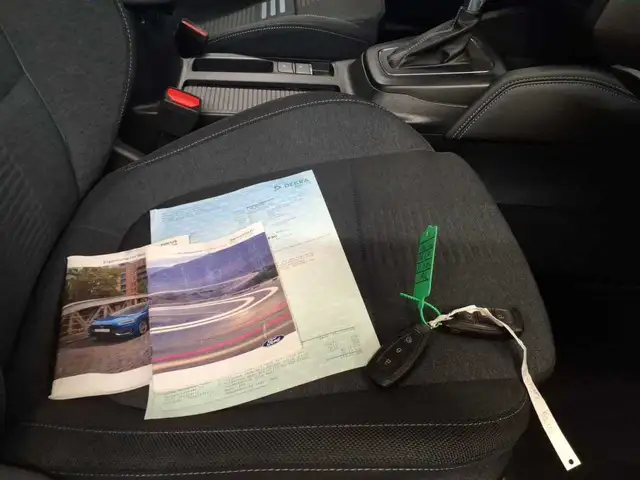 Ford Focus view 10