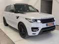 Land Rover Range Rover Sport Land 3.0 TDV6 260ch HSE DYNAMIC 4WD BVA Білий - thumbnail 16