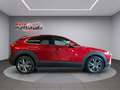 Mazda CX-30 CX-30 2.5 m-hybrid Exclusive Line 2wd 140cv 6mt Rosso - thumbnail 6