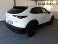 Mazda CX-30 2.0L e-Skyactiv-G 150cv M Hybrid Homura Bianco - thumbnail 13