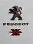 Peugeot Partner 4x4 Dangel Standard 600kgs BlueHDi 96kW Blanco - thumbnail 18