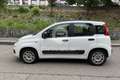 Fiat Panda Panda 0.9 TwinAir Turbo S&S Easy Bianco - thumbnail 8