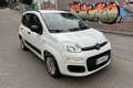 Fiat Panda Panda 0.9 TwinAir Turbo S&S Easy Bianco - thumbnail 3