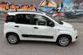 Fiat Panda Panda 0.9 TwinAir Turbo S&S Easy Bianco - thumbnail 4