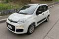 Fiat Panda Panda 0.9 TwinAir Turbo S&S Easy Bianco - thumbnail 1