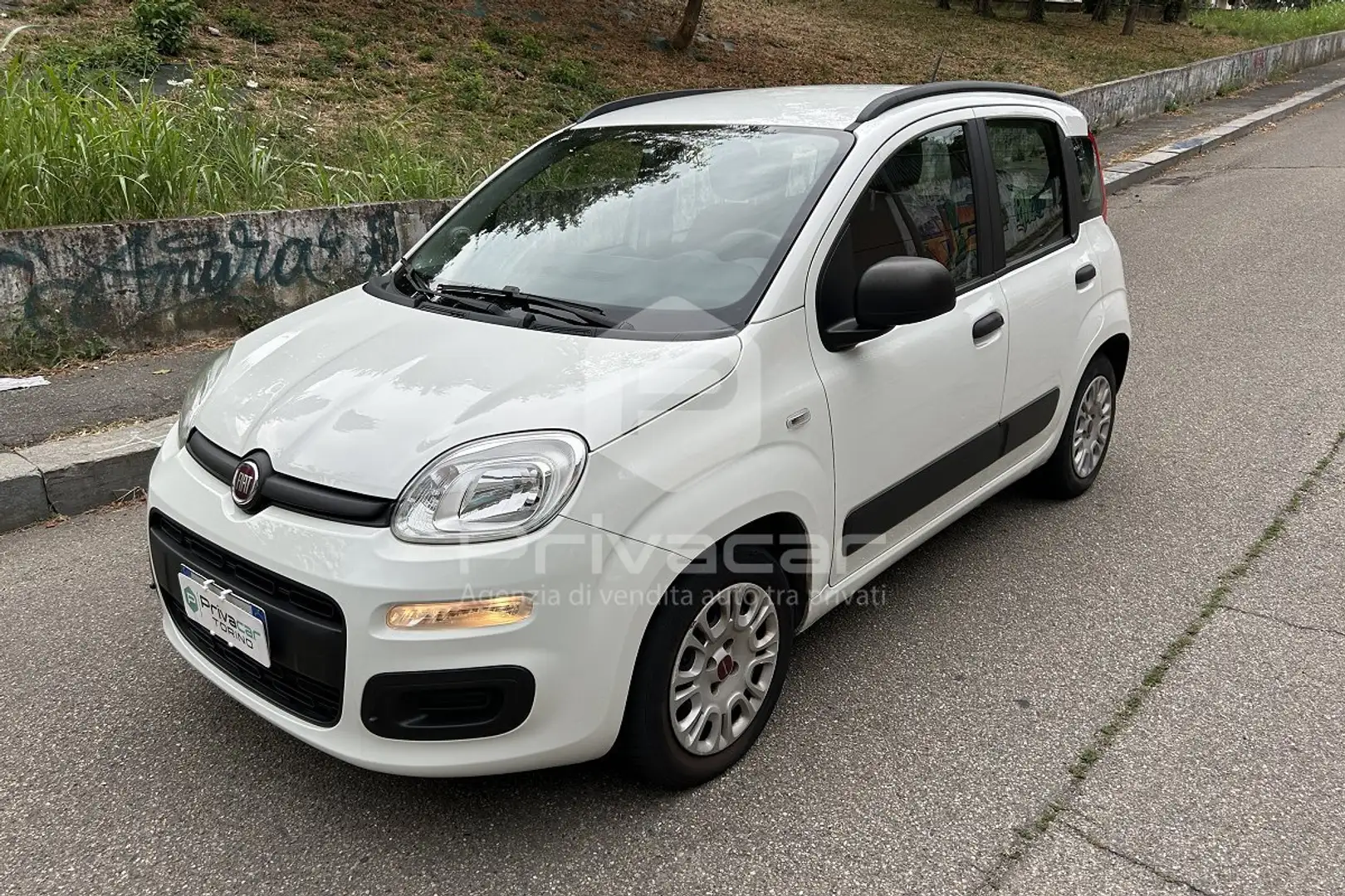 Fiat Panda Panda 0.9 TwinAir Turbo S&S Easy Bianco - 1