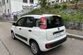 Fiat Panda Panda 0.9 TwinAir Turbo S&S Easy Bianco - thumbnail 7
