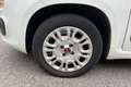 Fiat Panda Panda 0.9 TwinAir Turbo S&S Easy Bianco - thumbnail 9