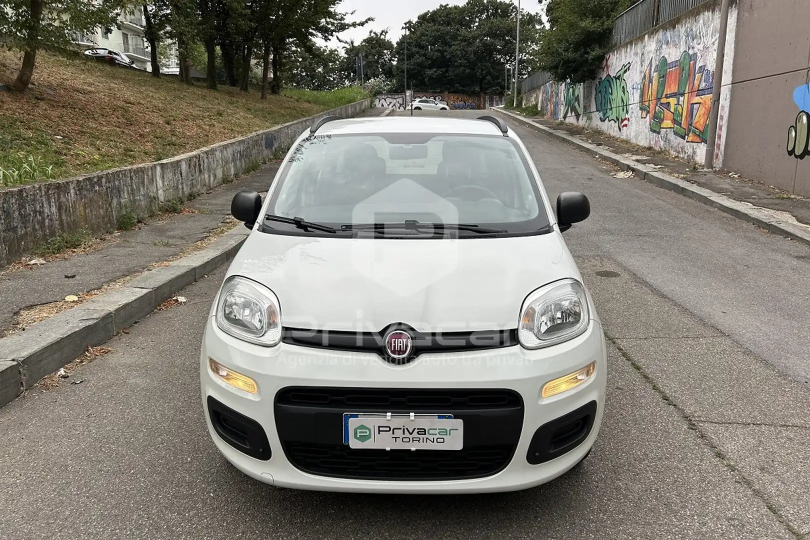 Fiat Panda Panda 0.9 TwinAir Turbo S&S Easy Bianco - 2