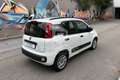 Fiat Panda Panda 0.9 TwinAir Turbo S&S Easy Bianco - thumbnail 5