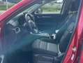Mazda CX-5 2023 5WGN 2.5L e-SKYACTIV G 194ps 6AT AD'VA Rouge - thumbnail 12