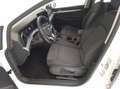 Volkswagen Golf VIII 1.5TSI Life LED AHK HUD Navi Sitzh ACC Bianco - thumbnail 6