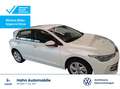 Volkswagen Golf VIII 1.5TSI Life LED AHK HUD Navi Sitzh ACC Bianco - thumbnail 1