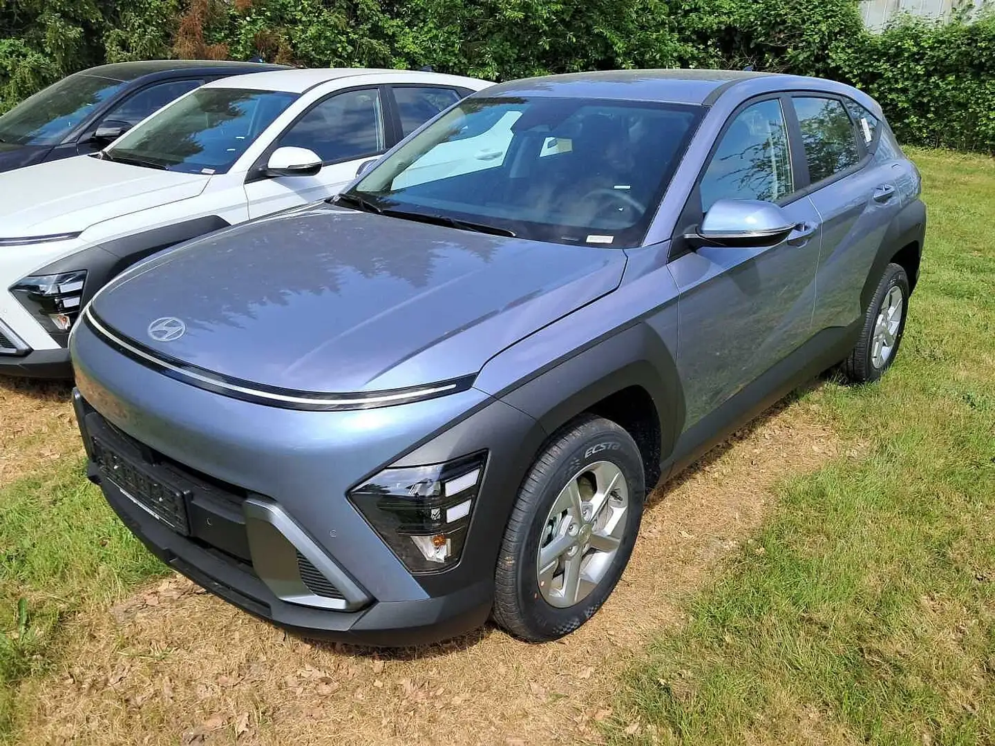 Hyundai KONA 1.0 T-GDI Select Funktions-Paket/Navi/Voll-LED uvm Mauve - 2