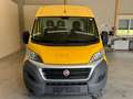 Fiat Ducato L3 H2 Top* Kredit* 1. Besitzer* Rückfahrkamera* Gelb - thumbnail 5