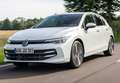 Volkswagen Golf 2.0 TSI R Black Edition DSG 4Motion 245kW Negro - thumbnail 9