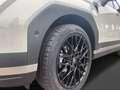 Hyundai SANTA FE HEV 5-Sitzer 4WD Intro Navi Leder SHZ Silber - thumbnail 5