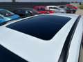 Ford Kuga ST | PICKERL 07/27 | PANO | SELBSTPARKEN | LED Weiß - thumbnail 14