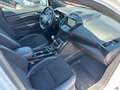 Ford Kuga ST | PICKERL 07/27 | PANO | SELBSTPARKEN | LED Weiß - thumbnail 19