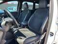 Ford Kuga ST | PICKERL 07/27 | PANO | SELBSTPARKEN | LED Weiß - thumbnail 17