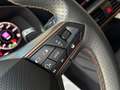CUPRA Formentor 2.0 TDI 150 CV 4Drive DSG ''OPACA'' Grau - thumbnail 24