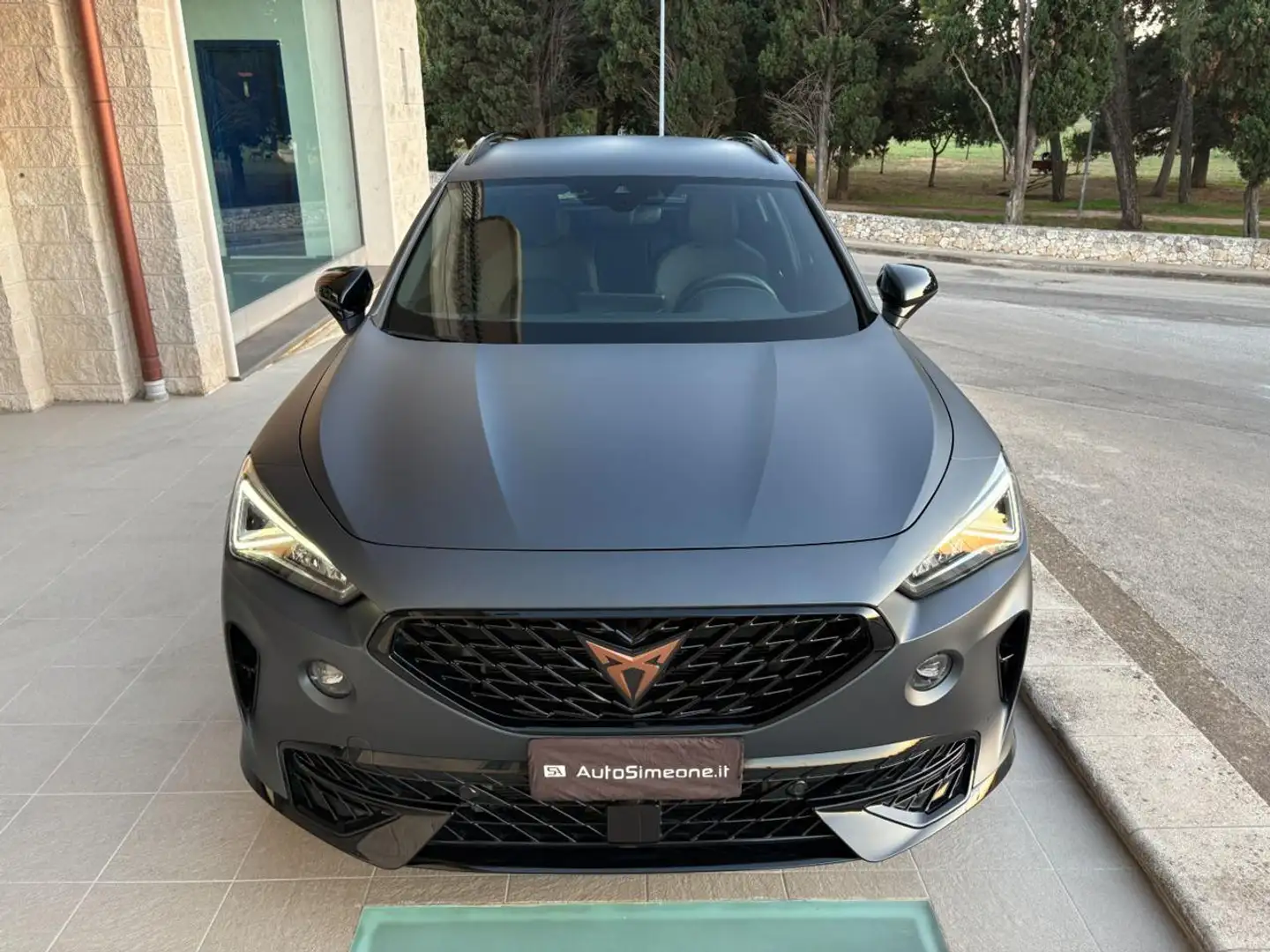 CUPRA Formentor 2.0 TDI 150 CV 4Drive DSG ''OPACA'' Grau - 2