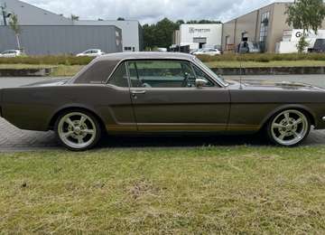 Mustang 289