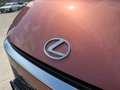Lexus LBX Lexus LBX Emotion CVT 4x2 Braun - thumbnail 20