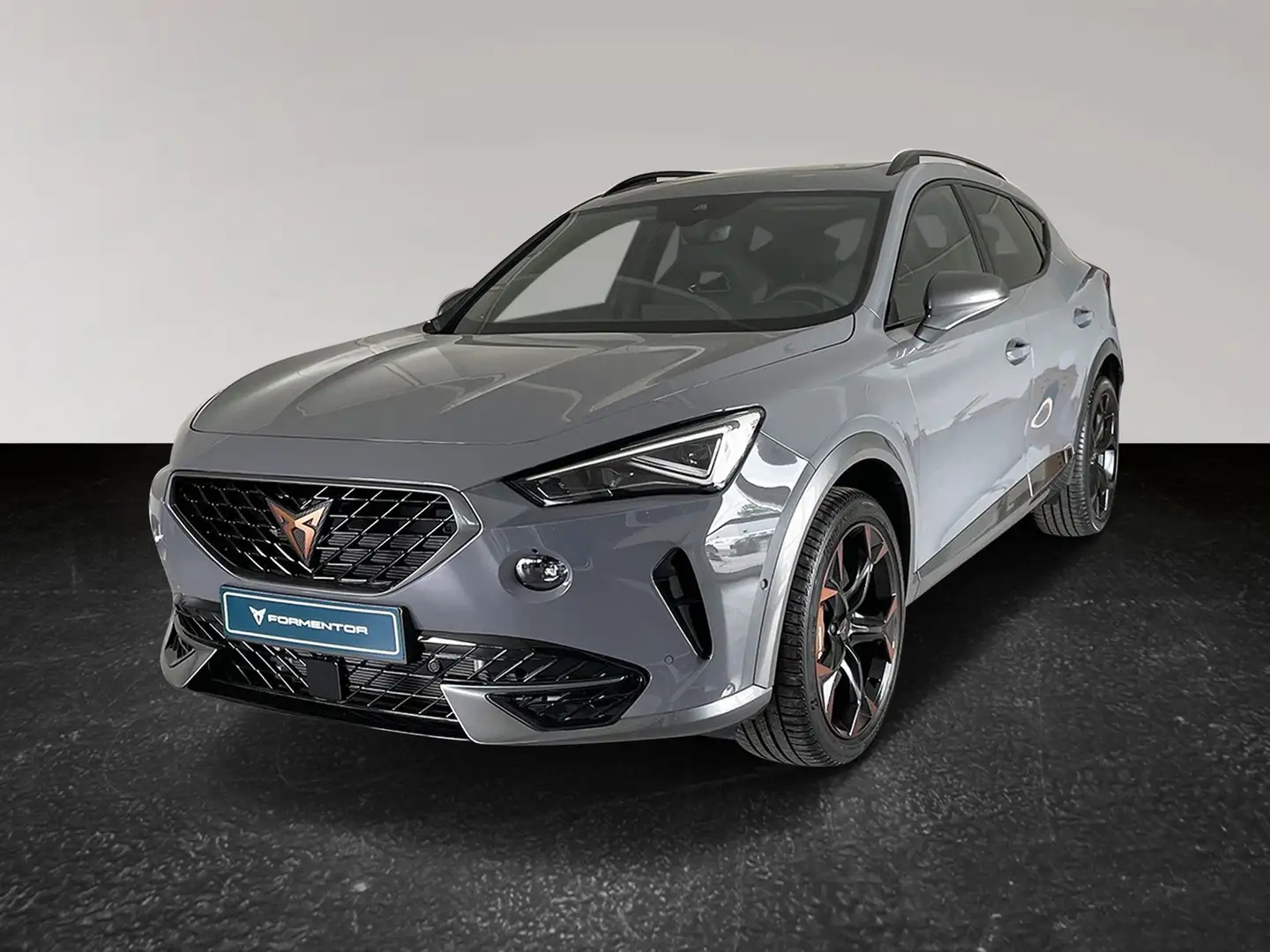 CUPRA Formentor VZ 2.0 TSI DSG VZ Grau - 2
