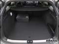 Volkswagen Passat Variant PASSAT R-LINE BLACK STYLE EHYBRID 1.5 TSI DSG Navi Grau - thumbnail 14
