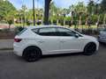SEAT Leon León 1.6TDI CR S Blanco - thumbnail 2