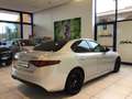 Alfa Romeo Giulia Giulia 2.2 Turbodiesel 160 CV AT8 B-Tech MY19 Grigio - thumbnail 8