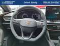CUPRA Leon Sportstourer VZ 4WD ACC el. Heckk. Kamera 19 Zo... - thumbnail 20