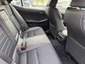 Lexus IS 300 300h Hybrid F-Sport Line Negro - thumbnail 14