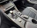 Lexus IS 300 300h Hybrid F-Sport Line Negro - thumbnail 26