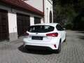 Ford Focus Focus Traveller 1,0 EcoBoost Trend Trend Weiß - thumbnail 3