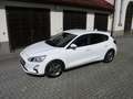 Ford Focus Focus Traveller 1,0 EcoBoost Trend Trend Weiß - thumbnail 18