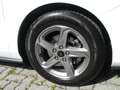 Ford Focus Focus Traveller 1,0 EcoBoost Trend Trend Weiß - thumbnail 5