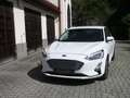 Ford Focus Focus Traveller 1,0 EcoBoost Trend Trend Weiß - thumbnail 17