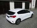 Ford Focus Focus Traveller 1,0 EcoBoost Trend Trend Weiß - thumbnail 4