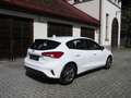 Ford Focus Focus Traveller 1,0 EcoBoost Trend Trend Weiß - thumbnail 2