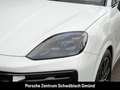 Porsche Cayenne E-Hybrid BOSE Surround View LED-Matrix Weiß - thumbnail 13