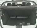 Dacia Sandero Stepway 1.0 TCe 90cv Stepway Comfort Blanc - thumbnail 5