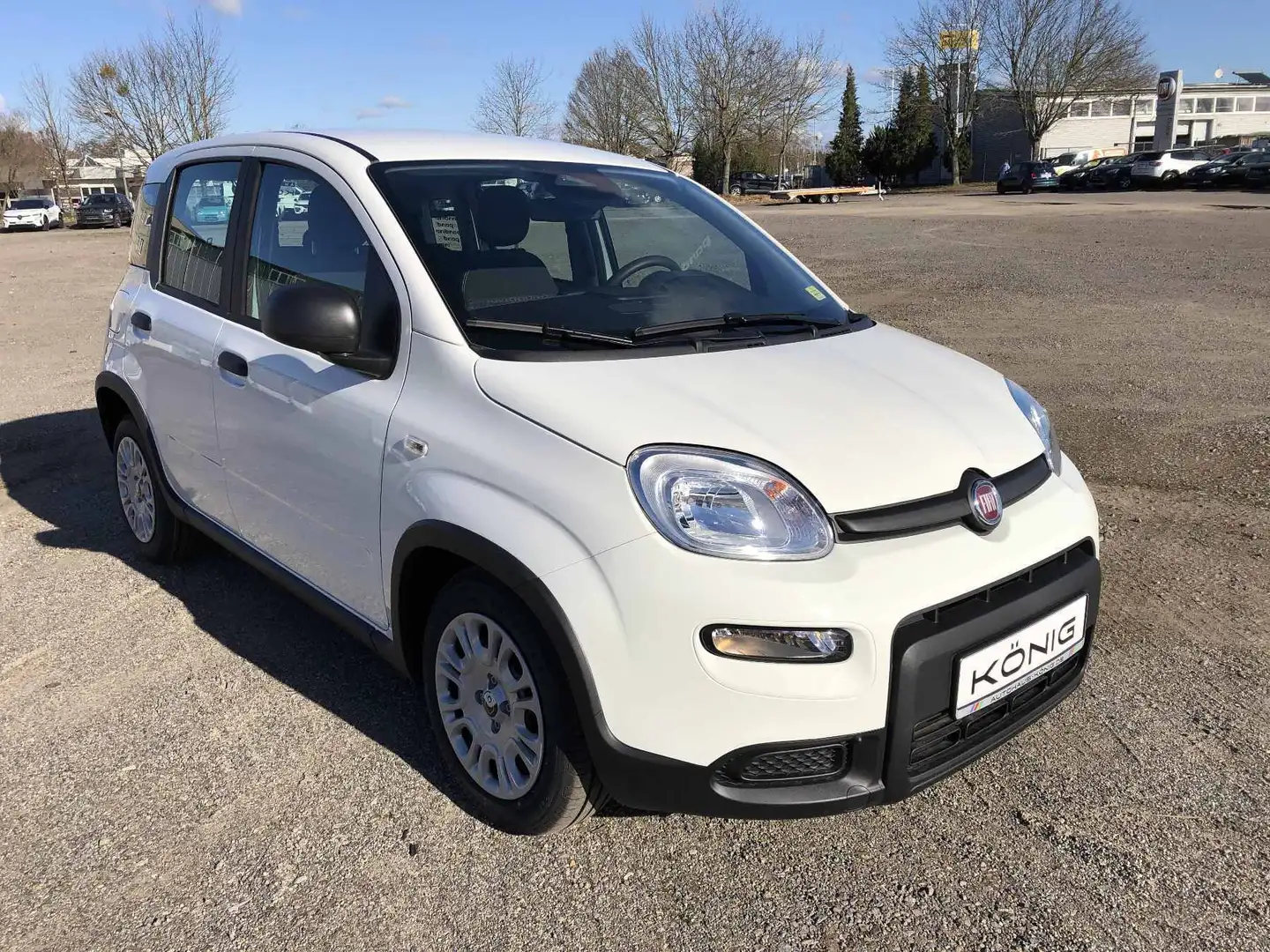 Fiat Panda MY24 1.0 Klima PDC Citypaket Wit - 2