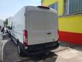 Ford Transit L3/H2 350 NETTO 14.990.- Ohne Anzahlung 399.- Weiß - thumbnail 4