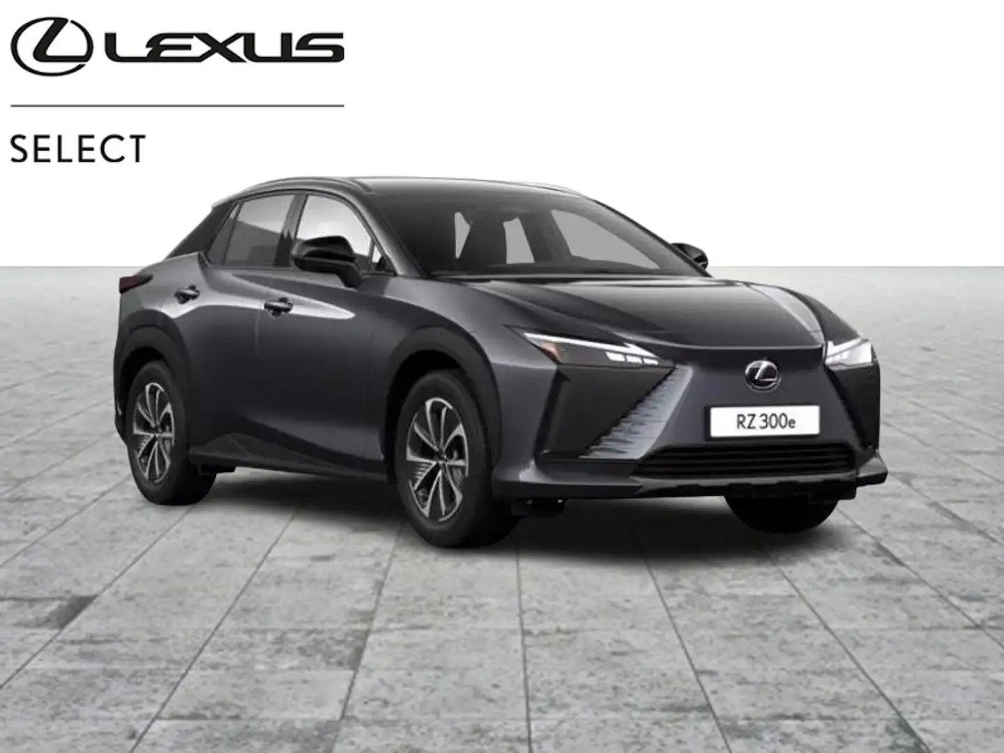 Lexus RZ Privilege Line Šedá - 1