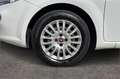 Fiat Punto 4ª serie 1.3 MJT II 75 CV 5 porte Lounge Wit - thumbnail 8