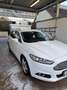 Ford Mondeo Trend 2,0 TDCi Aut. Weiß - thumbnail 2